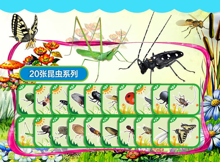 萌橙CC新魔法動物園早教3D卡片正品AR立體認(rèn)知益智兒童玩具3-6歲
