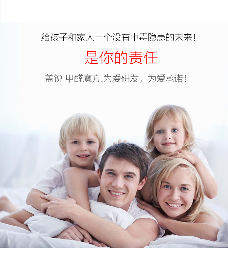 蓋銳甲醛魔方去除甲醛新房異味強(qiáng)力家用型清除劑裝修除味專利產(chǎn)品