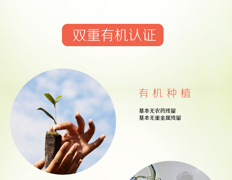 本草天香山茶油1.45L*2禮盒