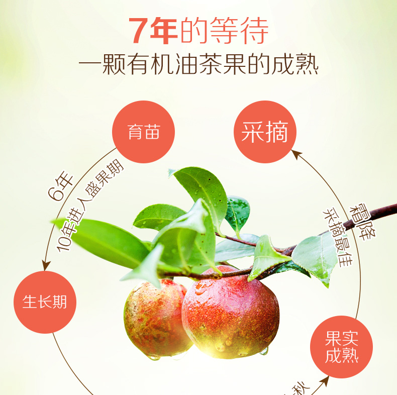 本草天香山茶油1.45L*2禮盒