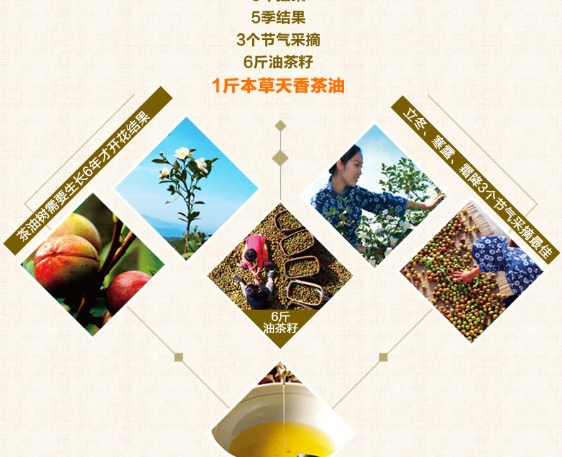 壓榨一級(jí)月子油山茶油2.2L
