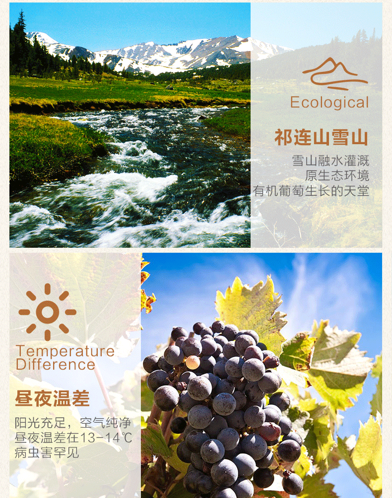 威龍沙漠葡園有機(jī)干紅葡萄酒