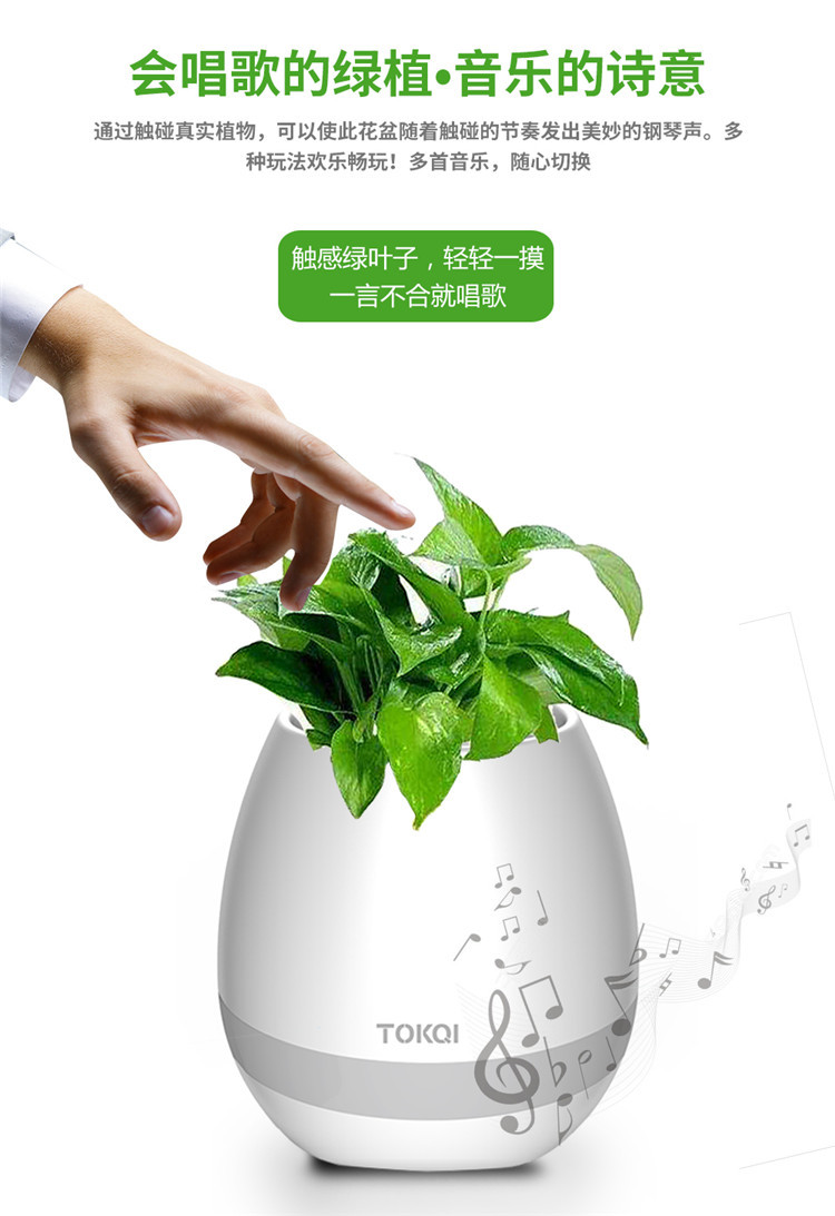 會唱歌的音樂盆栽