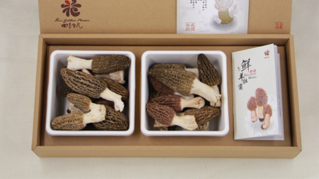 羊肚菌/干貨 食用菌、藥用菌
